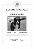 Klubov ampion BCCCZ - C.J. Dajavera